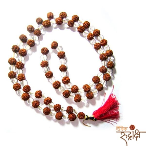 13 Original Rudraksh Mala 8MM – Rudraksha + Sphatik Mala | Lab Certified - Image 1
