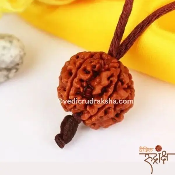 148 Har Ghar Mein Rudraksha – Claim Your Free 5 Mukhi Rudraksha OFER TILL SWANA month 2025 - Image 1