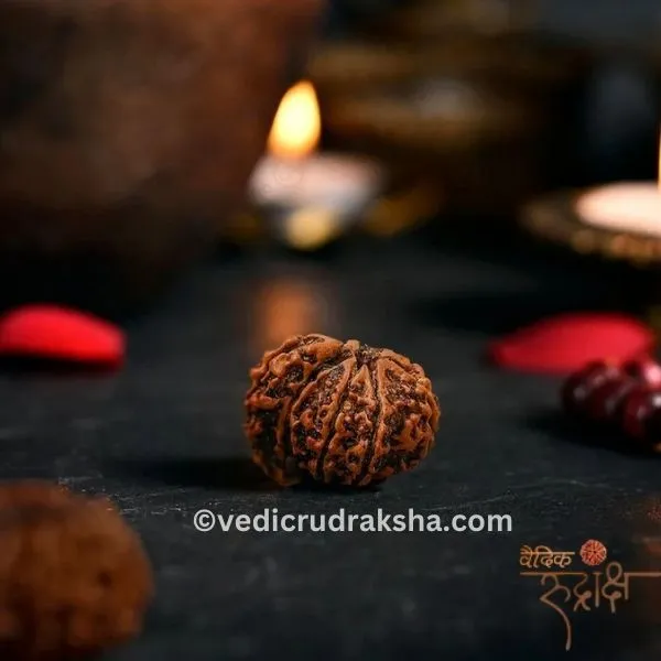 166 Certified 1 Mukhi Rudraksha Savar (Nepali) – Original & Energized for Spiritual Growth and Success - Image 1