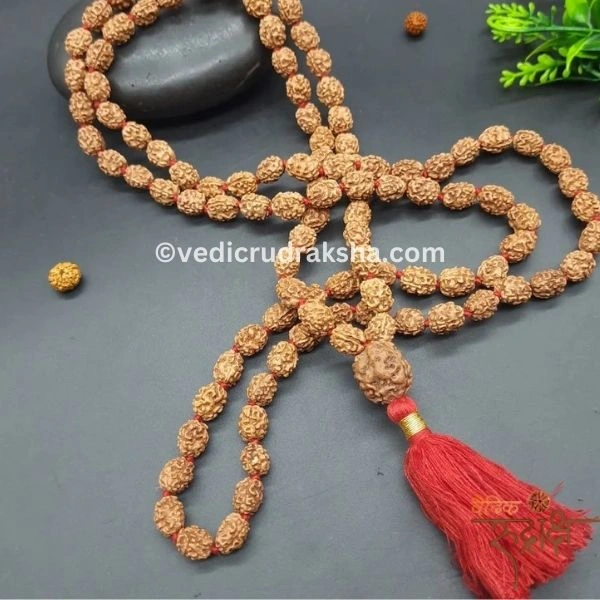 218 Original 3 Mukhi Japa Rudraksha Mala – 108+1 Natural Beads | Lab Certified | Energized for Japa & Meditation - Image 1