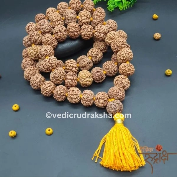 232 (1) 7 Mukhi Japa Rudraksha Mala 8 -10mm with Lab Certificate – Original & Energized - Image 1