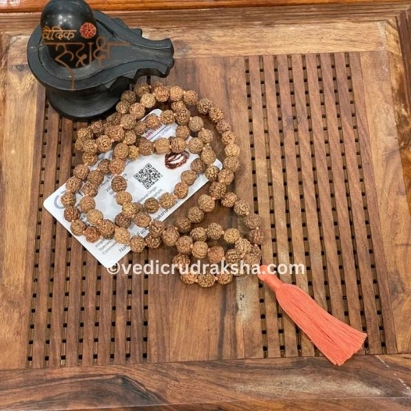 238 8 Mukhi Japa Rudraksha Mala 108+1 with Lab Certificate – Divine & Energized - Image 1