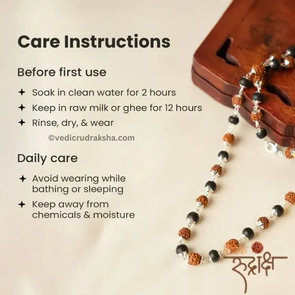 Karungali-Rudraksha-Mala-2 Karungali Rudraksha Mala - Image 1